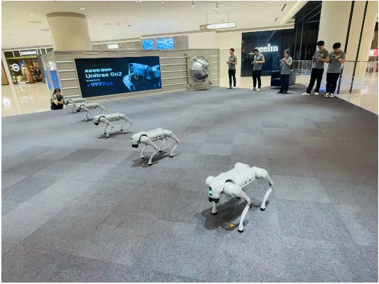 304amÓÀÀû¼¯ÍÅ(Öйú)ÓÐÏÞ¹«Ë¾-Official Website