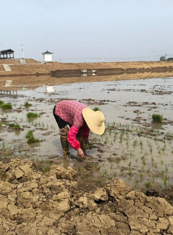 304am永利集团(中国)有限公司-Official Website