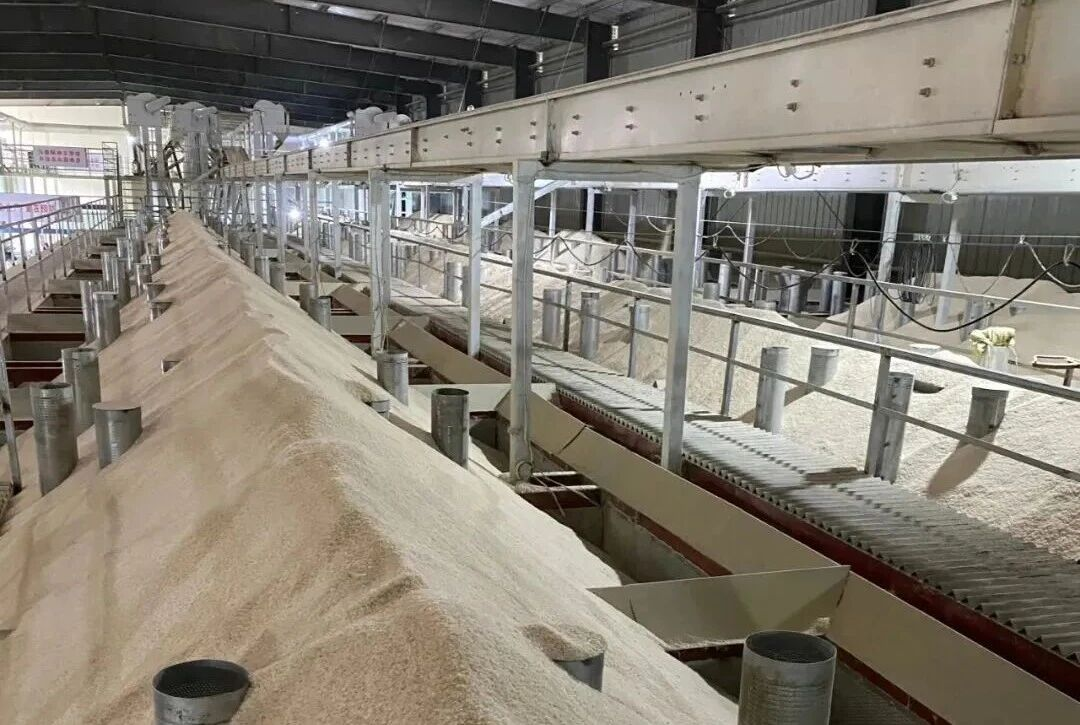 304am永利集团(中国)有限公司-Official Website